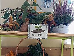 półka z darami jesieni