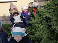Dzieci w ogrodzie przedszkolnym stoją z karmą 