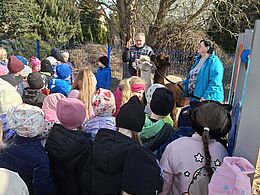 Alpaki w otoczeniu dzieci