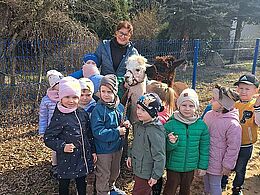 Alpaki i dzieci, zdjęcie zapozowane